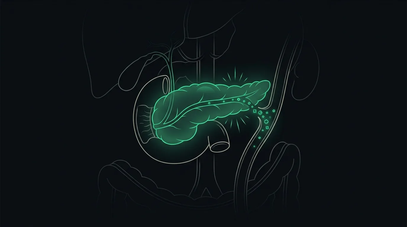 An inflamed pancreas leaking a specific enzyme directly into a blood vessel, in emerald.